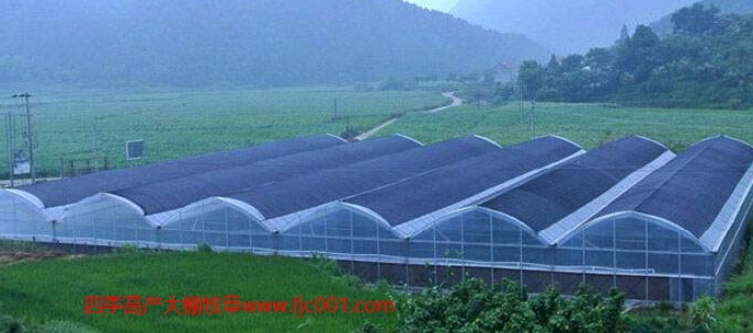 使用大棚種植高吸水吸肥能力的牧草消耗養(yǎng)殖場(chǎng)的糞污，成本低，操作簡(jiǎn)單，帶來(lái)的效益非常顯著