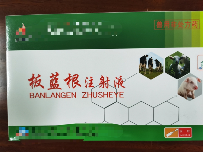 板藍根注射液--主治家畜流感，仔豬白痢，肺炎等發(fā)熱性疾病