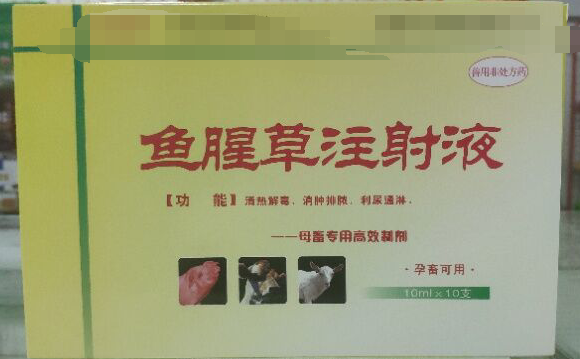 魚腥草注射液，清熱解毒，消腫排濃，利尿通琳，乳房脹痛，排尿不暢等