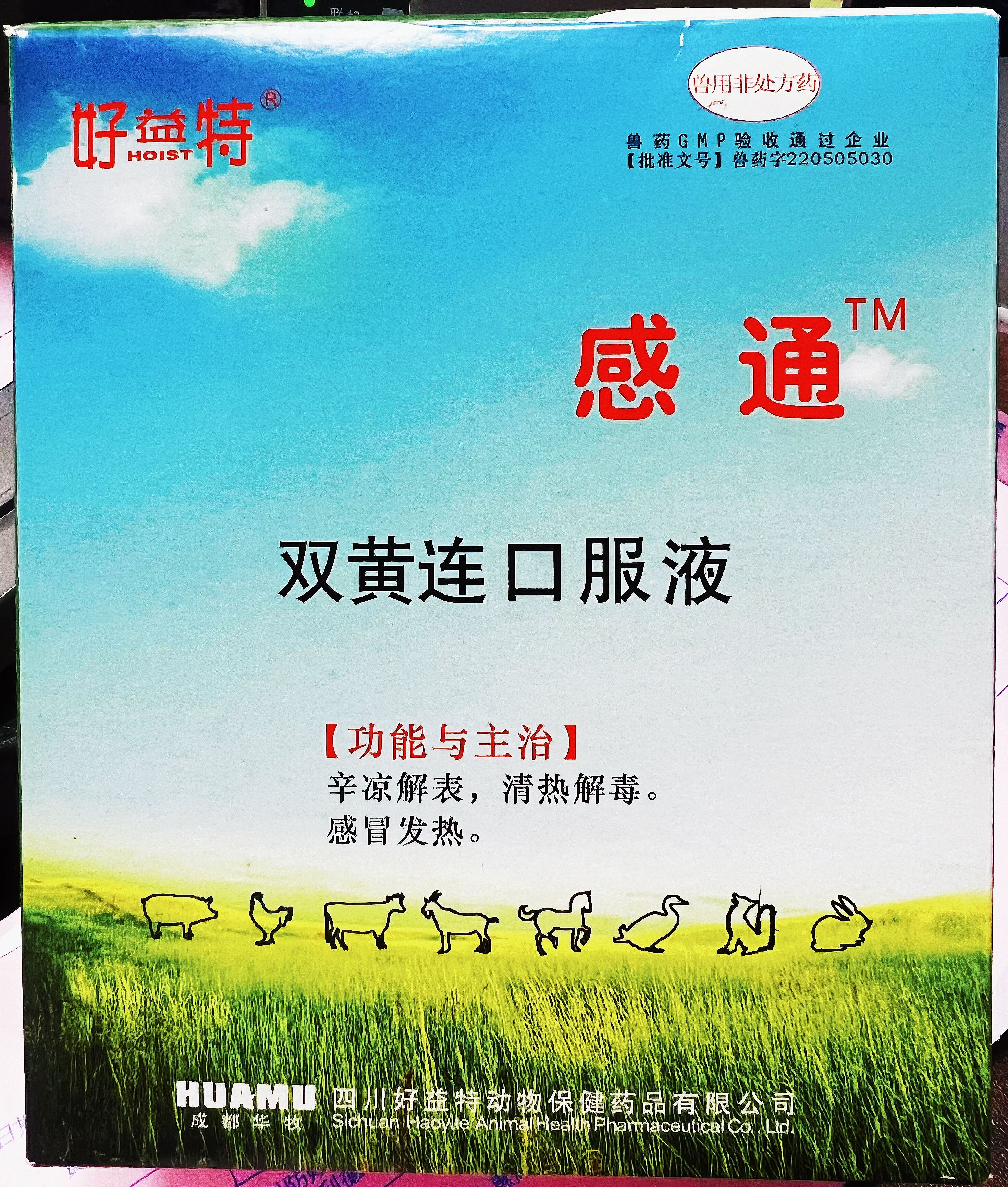 雙黃連口服液，辛涼解表，清熱解毒，感冒發(fā)熱，體溫升高，發(fā)熱與惡寒同時并見