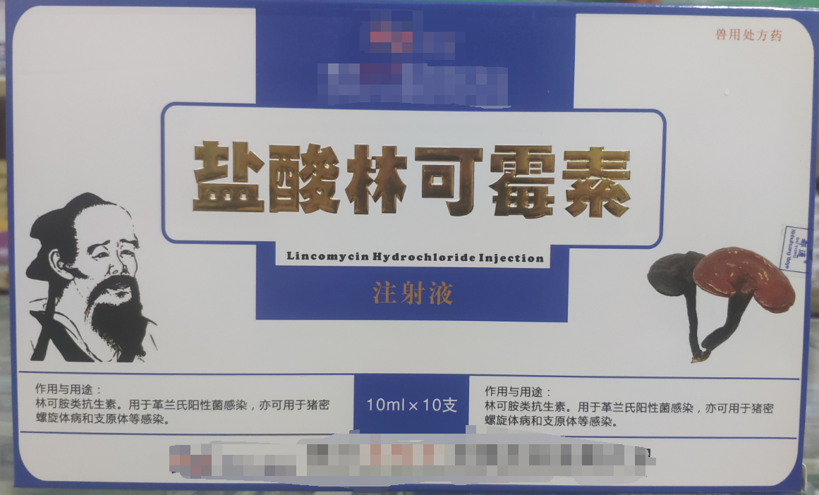 林可霉素注射液，用于革蘭氏陽性菌感染，亦可用于豬密螺旋體和支原體感染