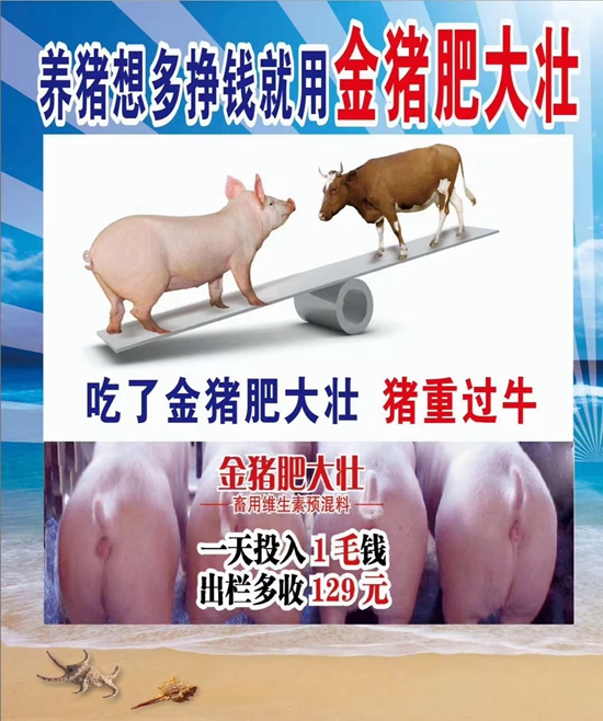 養(yǎng)豬想多掙錢就用金豬肥大壯--1天投入1毛錢，提前出欄13天，多長20斤，就是牛