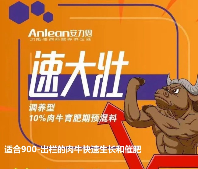 安力恩——速達(dá)壯調(diào)養(yǎng)型10%肉牛育成期預(yù)混料-適合900-出欄的肉?？焖偕L(zhǎng)和催肥