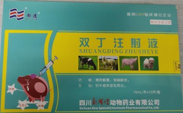 雙丁注射液——清熱解毒、抗菌消炎、消腫排膿、利尿通淋