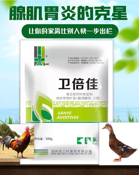 【新產(chǎn)品】腺肌胃炎的克星，讓你的家禽比別人更快一步出欄！