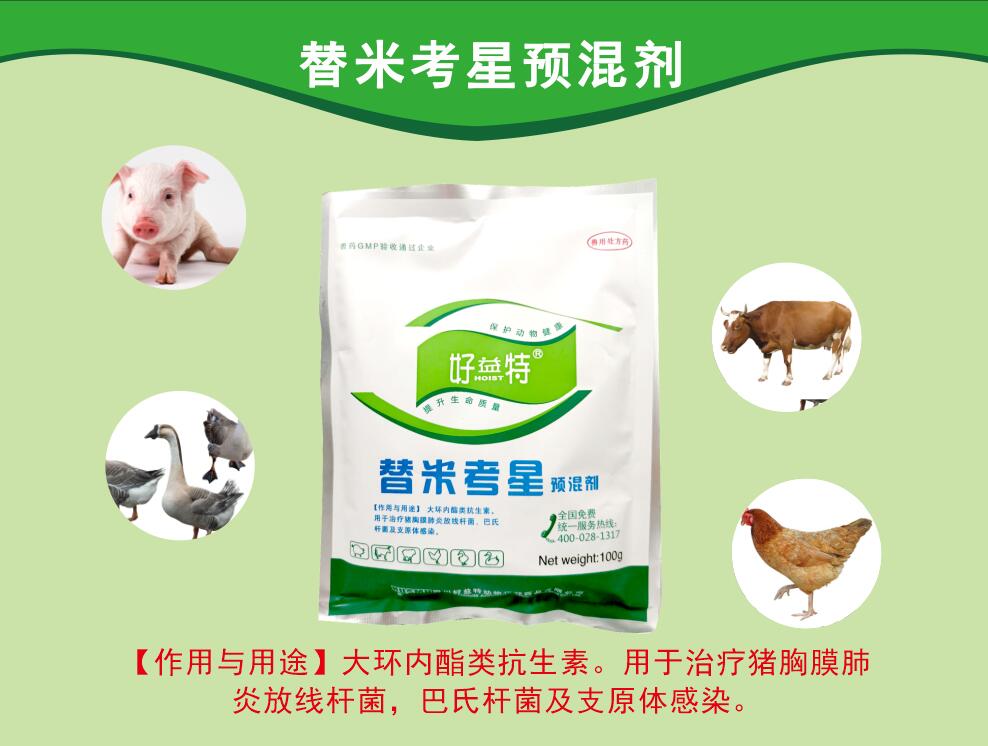 替米考星粉，呼吸道病更好的抗生素，主要防治家畜肺炎(由胸膜肺炎放線桿菌、巴氏桿菌、支原體等感染引起)、禽支原體病及泌乳動(dòng)物的乳腺炎。
