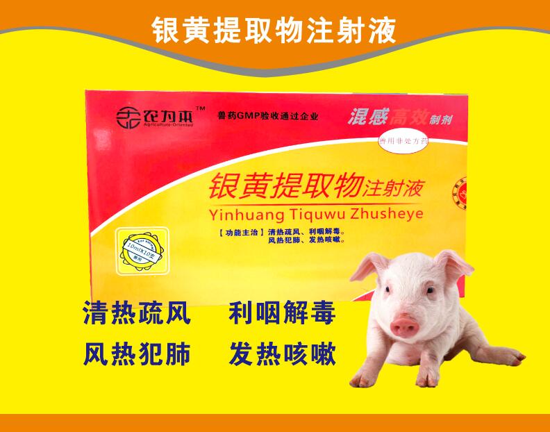 銀黃提取物注射液--混感高效，清熱疏風(fēng)，利咽解毒，風(fēng)熱范肺，發(fā)熱咳嗽。