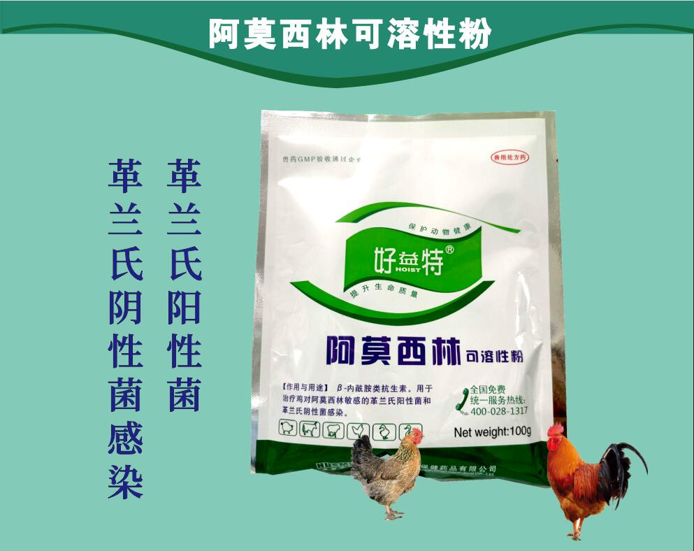 阿莫西林粉，治療動(dòng)物革蘭氏陽性菌和革蘭氏陰性菌感染