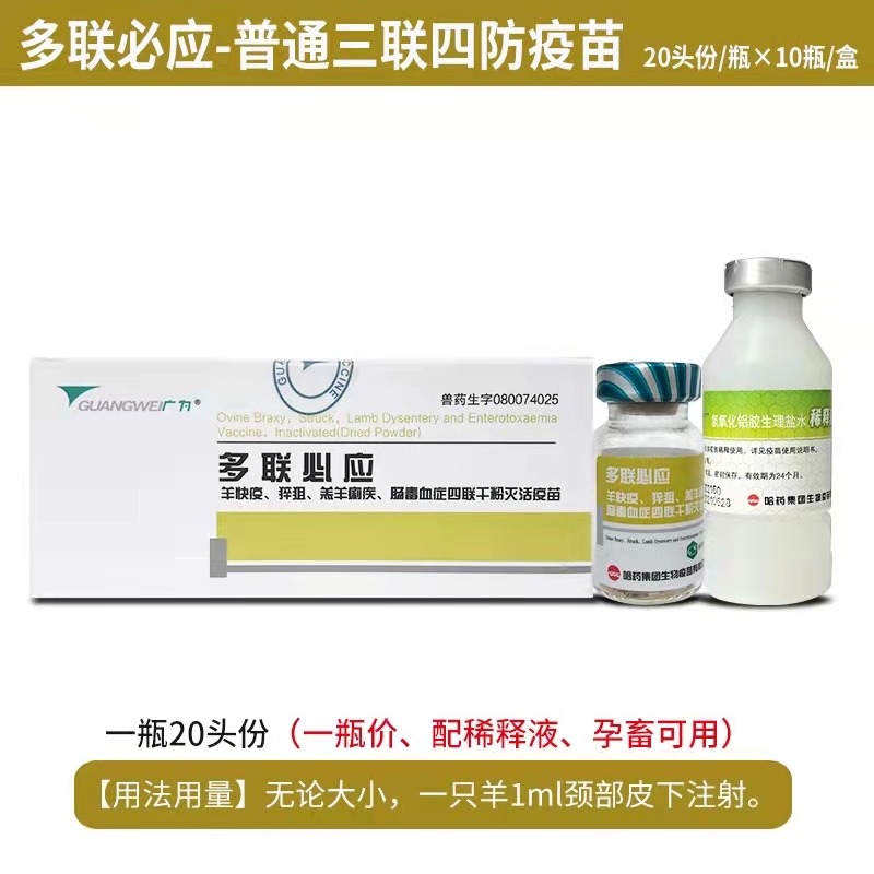多聯(lián)必應(yīng)-羊快疫、猝疽、羔羊痢疾、腸毒血癥四聯(lián)干粉滅活疫苗