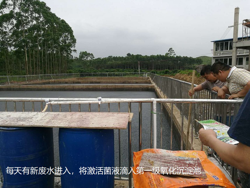 每天有新廢水進入，將激活菌液滴入第一級氧化沉淀池.jpg