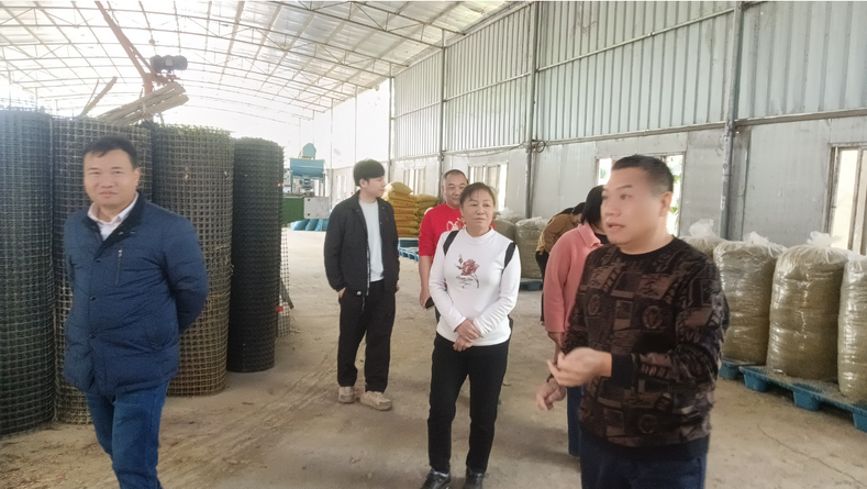 廣西家禽業(yè)協(xié)會韋鳳英會長在廣西助農(nóng)公司生態(tài)循環(huán)養(yǎng)殖基地發(fā)酵飼料生產(chǎn)區(qū)調(diào)研.png